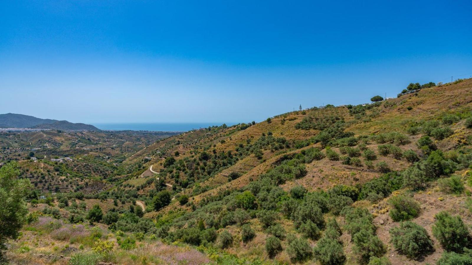 Вілла Cortijo El Mirador Frigiliana By Ruralidays Екстер'єр фото